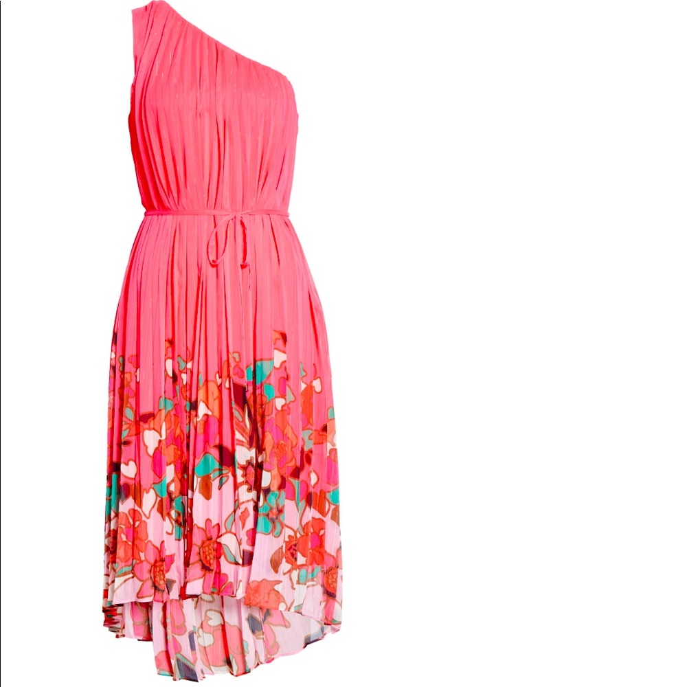 Ted Baker Pinata Floral Pleated Dress
